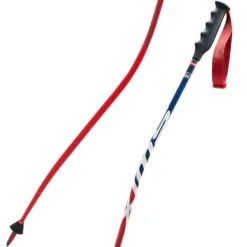 Alpineskiën Winkel 19 Swix WorldCup Pro DH Carbon