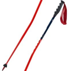 Alpineskiën Winkel 41 Swix WorldCup Pro SG