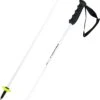 Head Worldcup Rebels Carbon Poles -Alpineskiën Winkel 22 wc rebels carbon 381202 1280x1280